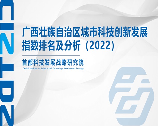 欧美好好操逼【成果发布】广西壮族自治区城市科技创新发展指数排名及分析（2022）